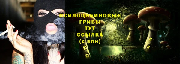 mix Арсеньев