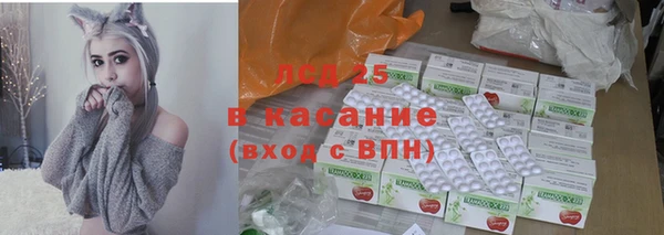 прущие грибы Армянск