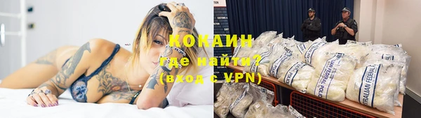прущие грибы Армянск