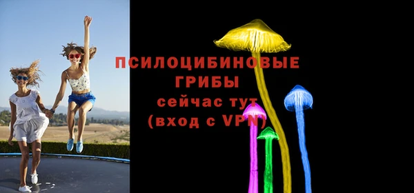 прущие грибы Армянск