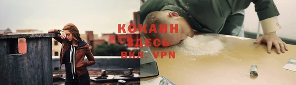 прущие грибы Армянск