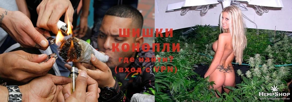 прущие грибы Армянск
