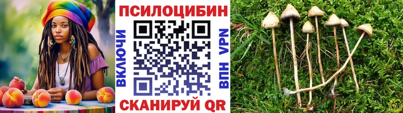 Галлюциногенные грибы Magic Shrooms купить наркотик Арсеньев